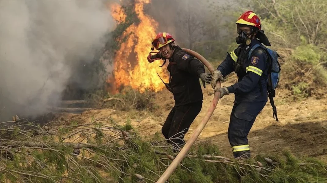 6002e7b0d540bafdb54f9802abad53bc_XL