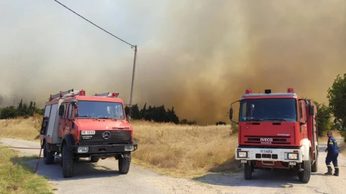 Φωτιά στην Αλεξανδρούπολη: Στη Νίψα το κύριο μέτωπο – Επιμένουν οι ισχυροί άνεμοι