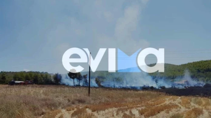 Υπό μερικό έλεγχο η φωτιά στην Εύβοια σε αγροτοδασική έκταση