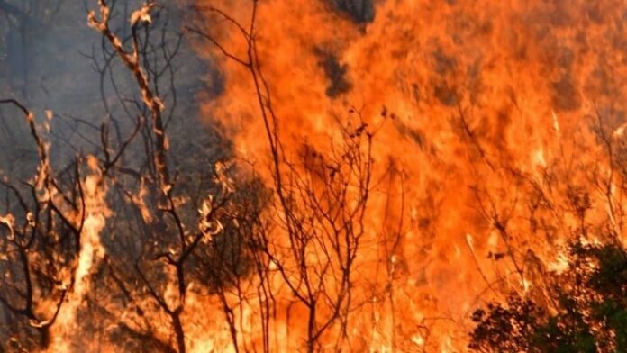 Φιλοκυβερνητικά ή κυβερνητικά τα τηλεοπτικά κανάλια; Φιλοκυβερνητικά ή κυβερνητικά τα τηλεοπτικά κανάλια;