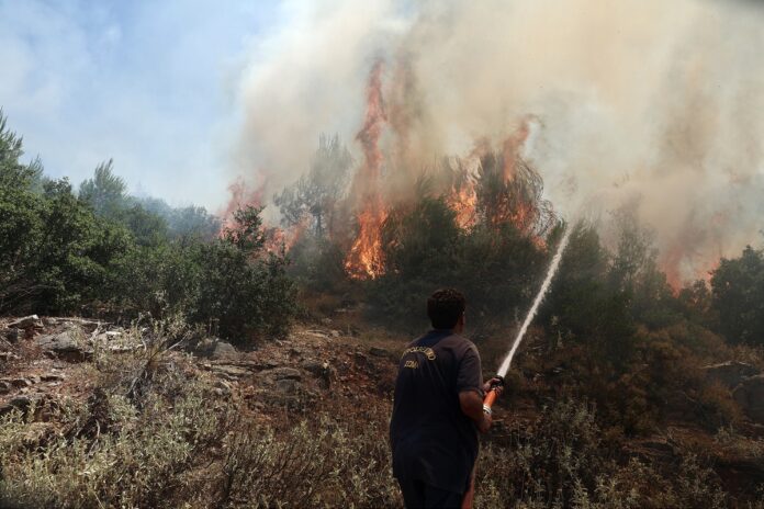 Θεσσαλονίκη: Πυρκαγιά στη Μαυρορράχη – Επί τόπου η Πυροσβεστική
