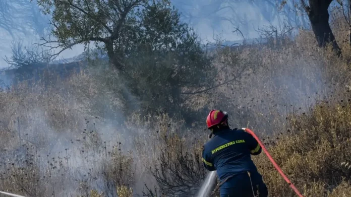 Φωτιά τώρα και στην Άνω Δροσίνη Ροδόπης – Σηκώθηκαν εναέρια μέσα