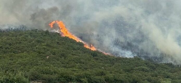 Φθιώτιδα : Ισχυρή αναζωπύρωση της φωτιάς στην Βίτωλη – ΒΙΝΤΕΟ