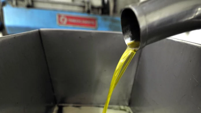 Κρήτη: Έκλεψαν 200 κιλά ελαιόλαδο από αποθήκη – Το λάδι πωλείται 7-8 ευρώ το κιλό στη χονδρική