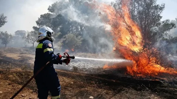 Υπό έλεγχο η φωτιά στο Μαρκόπουλο Ωρωπού