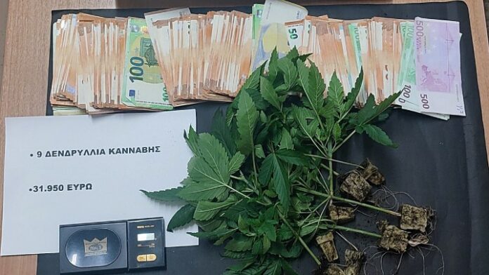 Ρόδος: Συνελήφθη με 31.950 ευρώ σε εργαστήριο που καλλιεργούσε ναρκωτικά
