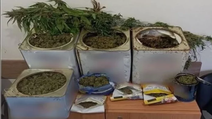 Δράμα – Καβάλα: Σκόπευε να πουλήσει πέντε κιλά κάνναβης