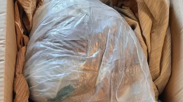 Ρέθυμνο: Αρχαία νομίσματα, όπλα και κροτίδες βρέθηκαν σε σπίτι