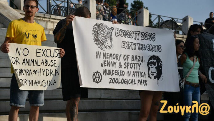 «Καμία ανοχή στους καταπιεστές»: Συγκέντρωση για την Παγκόσμια Ημέρα Ζώων στο Σύνταγμα
