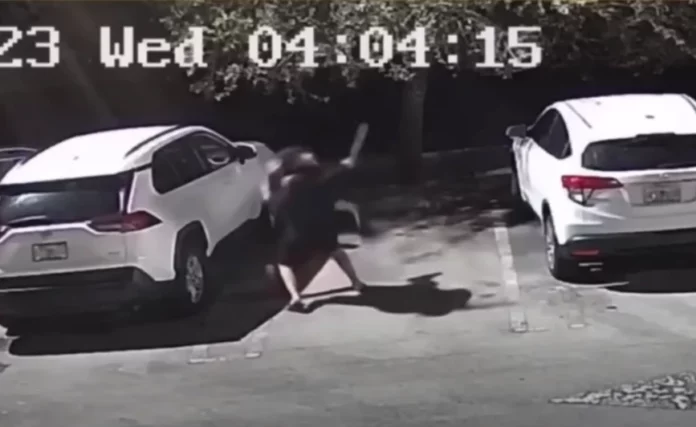 Πρώην αθλητής του ΜΜΑ αφόπλισε σε δευτερόλεπτα άνδρα με τεράστιο μαχαίρι