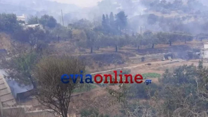 Φωτιά στην Κάρυστο: Εκκενώθηκαν δύο χωριά, απειλούνται σπίτια και στάβλοι – Δείτε βίντεο