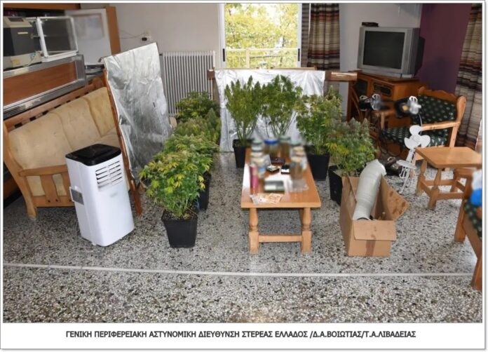 Yδροπονική μέσα σε σπίτι βρήκαν οι αστυνομικοί του Τ.Α. Λιβαδειάς