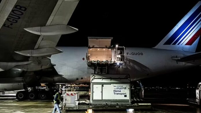 Τρόμος στον αέρα σε πτήση από Ν.Υόρκη προς Βέλγιο-Άλογο ελευθερώθηκε στο χώρο αποσκευών