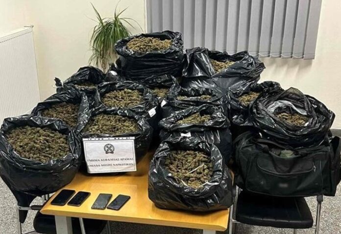 Θεσσαλονίκη: Θα “έσπρωχναν” 61 κιλά κάνναβη αλλά τους μύρισε η Vera – Τα έκρυβαν σε νάιλον σακούλες (φωτο)