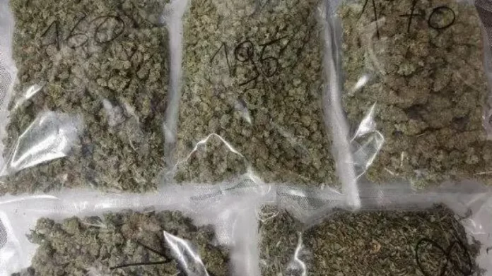 Δροσιά: Συνελήφθη 34χρονος για κατοχή σχεδόν ενός κιλού κάνναβης