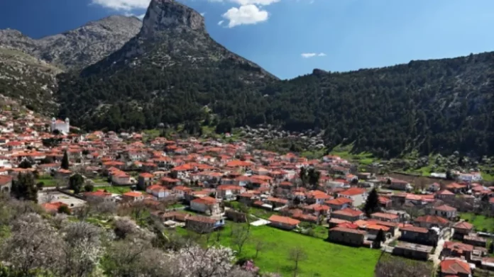 Χειροπέδες σε ηλικιωμένο που έκλεβε ελιές από κτήμα στο Άργος