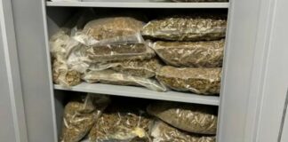 Σπείρα πωλούσε κάνναβη, skunk και ecstasy: Είχαν βγάλει €800.000 – Κατασχέθηκαν 108 κιλά ναρκωτικών