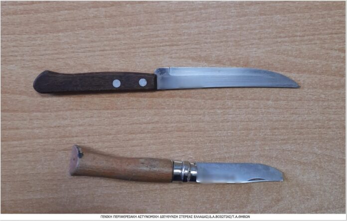 Συνελήφθησαν δύο άτομα που εισέβαλαν σε σπίτι ηλικιωμένης στη Βοιωτία