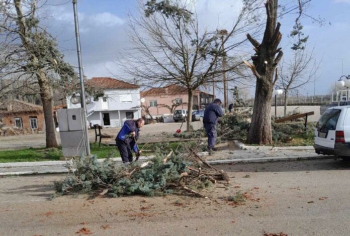 Εικόνες χάους στο Σουφλί: Ανεμοστρόβιλος σάρωσε το Αμόριο – Σοβαρές ζημιές σε στέγες σπιτιών