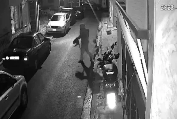 Καταδικάστηκε σε 8 χρόνια φυλάκιση ο 33χρονος που σκότωνε αδέσποτες γάτες στον Βοτανικό