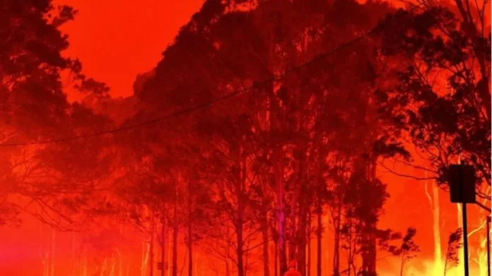 Αυστραλία: Ακραίο κύμα καύσωνα αυξάνει τον κίνδυνο πυρκαγιών