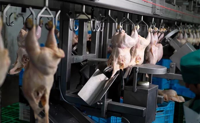 Ανήλικος σκοτώθηκε σε εργοστάσιο επεξεργασίας πουλερικών όταν μηχανή τον τράβηξε μέσα της – Το δεύτερο θύμα μέσα σε 2 χρόνια