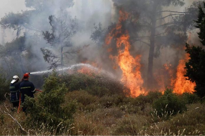 Καστοριά: Υπό μερικό έλεγχο η φωτιά στο Μονόπυλο Νεστορίου