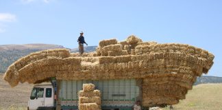 Ο λαϊκισμός της κυβέρνησης σε κατήφορο δίχως φρένα…