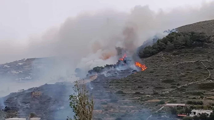 Φωτιά στην Προσύμνη Αργολίδας, καίει κοντά σε οικισμό – Ενισχύθηκαν οι δυνάμεις της Πυροσβεστικής