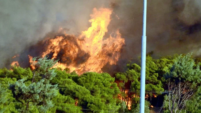 Φωτιά στην Αλίαρτο Βοιωτίας – Σηκώθηκαν και εναέρια μέσα