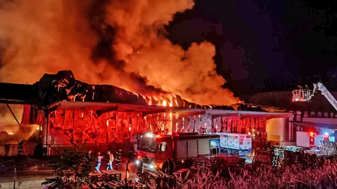 Λαμία: Ουδέποτε επιχειρήσαμε αναπροσαρμογή του ασφαλίσματος σε κάποια ύποπτη περίοδο, λέει η εταιρεία Γιαννίτσης για τη φωτιά