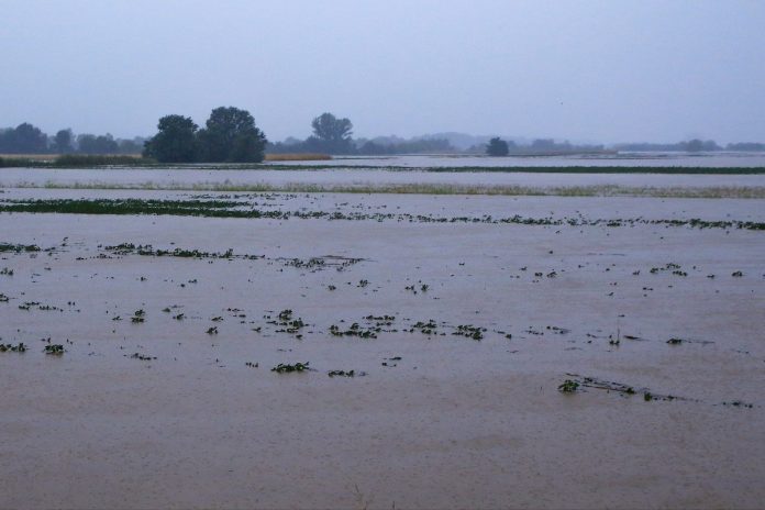 Δημοσιεύθηκε το ΦΕΚ για ενίσχυση πληγέντων περιοχών στη λίμνη Κάρλα