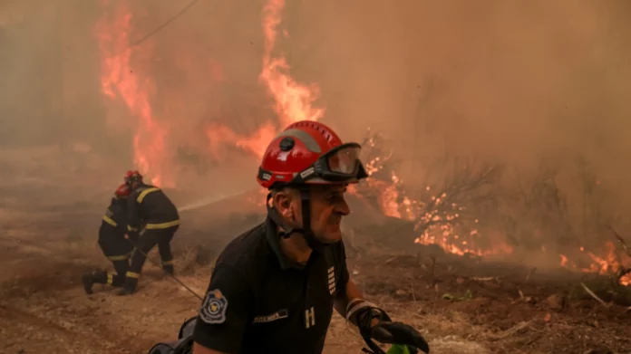 Φωτιά σε δασική έκταση στους Ασκητές Ροδόπης – Μήνυμα του 112