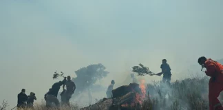 Φωτιά στην Κερατέα: 52 απεγκλωβισμοί και δεκάδες εκκενώσεις