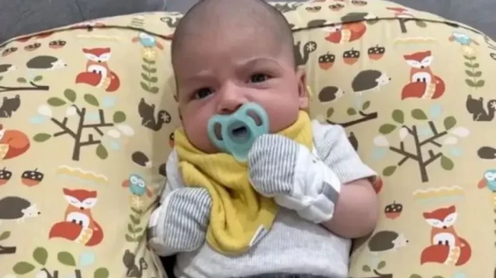 ΗΠΑ: Μωρό 6 εβδομάδων κατακρεουργήθηκε μέχρι θανάτου από το χάσκι της οικογένειας ενώ κοιμόταν στην κούνια του