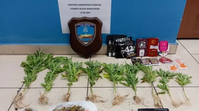 Καβάλα: Ο «Θωρ» εντόπισε ταξιδιώτη με κάνναβη και βρήκε χασισόδεντρα