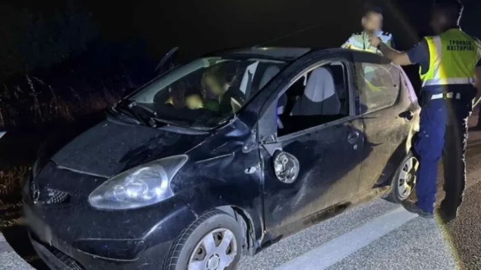 Καστοριά: Αρκούδα συγκρούστηκε με αυτοκίνητο στην αερογέφυρα του Άργους Ορεστικού