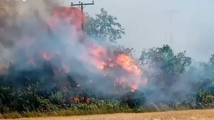 Φωτιά στο Σουφλί Έβρου – (VIDEO)
