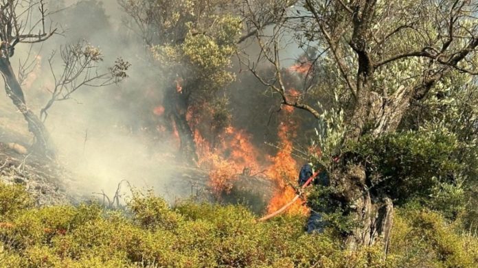 Συλλήψεις από την Πυροσβεστική για τη φωτιά στη Στυλίδα