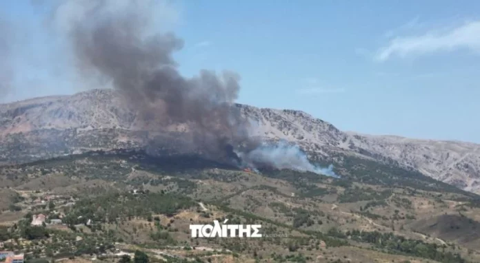 Χίος: Κάηκαν 270 στρέμματα, δάσος και καλλιέργειες από την μεγάλη φωτιά στις Καρυές