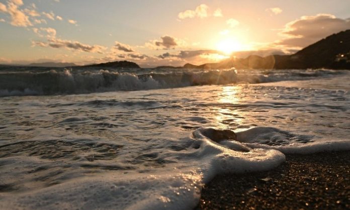 «Thessaly Evros Pass»: Ανοίγει η πλατφόρμα αιτήσεων για 35.000 δικαιούχους