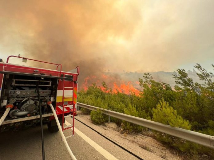 Λιβαδειά: Φωτιά σε χορτολιβαδική έκταση