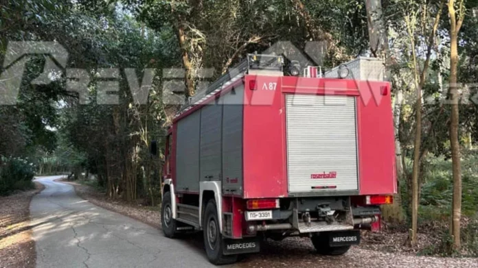Πρέβεζα: Συνελήφθη 38χρονος για εμπρησμό στο δάσος Μονολίθου