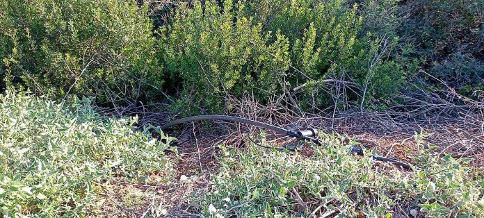Ρέθυμνο: Καλλιεργούσαν σε σπίτι 13 δενδρύλλια κάνναβης – Βρέθηκε και διόπτρα τυφεκίου