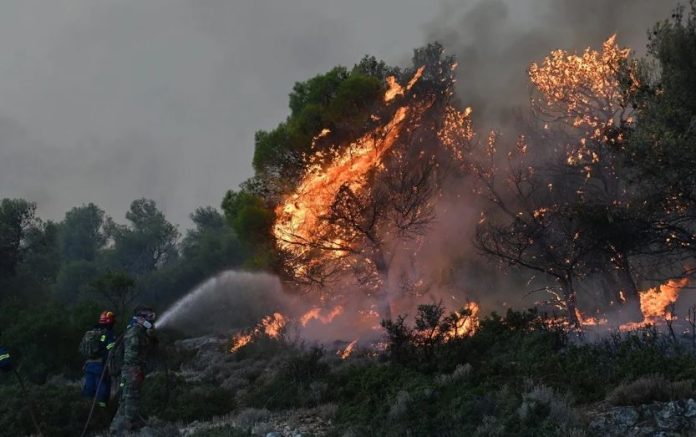 Φωτιά στην Θάσο: Κεραυνοί άναψαν δύο διαφορετικές εστίες – Στη μάχη τα εναέρια μέσα