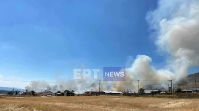 Φωτιά στο Βιομηχανικό Πάρκο στην Καστοριά