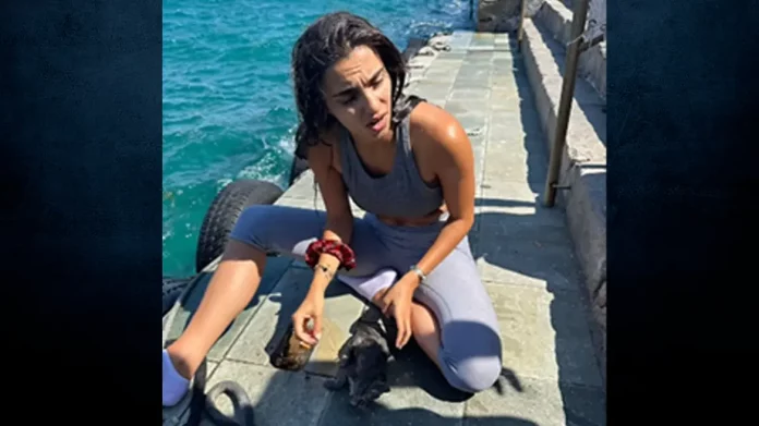 Σπέτσες: Τουρίστρια έπεσε στο λιμάνι για να σώσει γατάκι που πνιγόταν – (VIDEO)