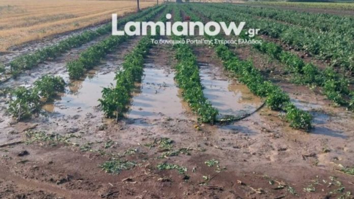 Λαμία: Μεγάλες καταστροφές στον Δομοκό μετά τη χθεσινή χαλαζόπτωση