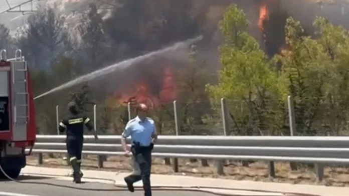 Φωτιά στην Αθηνών – Κορίνθου, τέθηκε άμεσα υπό έλεγχο