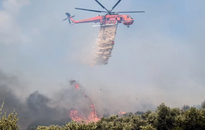 Φωτιά στο Σουφλί – Ισχυρές δυνάμεις της πυροσβεστικής στο σημείο